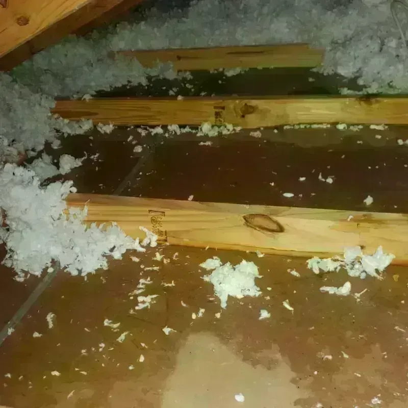 Attic Water Damage in Long Beach, IN