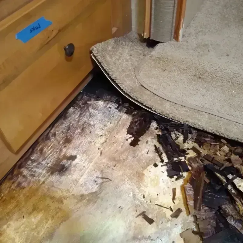 Wood Floor Water Damage in Long Beach, IN